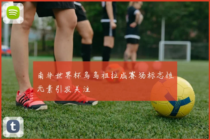 南非世界杯乌乌祖拉成赛场标志性元素引发关注